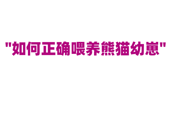 "如何正确喂养熊猫幼崽"